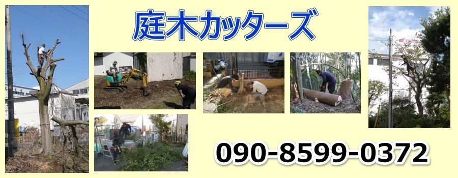 庭木カッターズ | 横浜市中区の庭木の伐採を承ります。